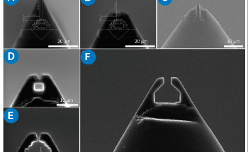 Direct Pull Tension Testing for Macroscale Mechanical Characterization