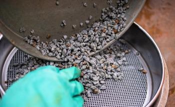 Why is Particle Size Analysis Important?