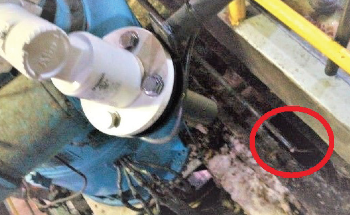 Level Measurement with LLT100