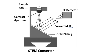 STEM-in-SEM: Scanning Transmission Electron Microscopy in an SEM