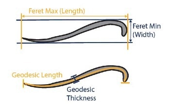 The Characterization of Fibers with Flow Imaging Microscopy