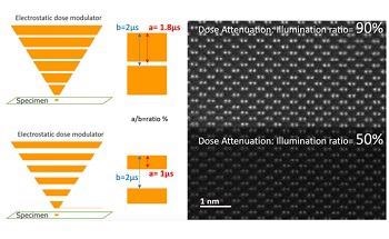 Illuminating Nanoscale Dynamics Employing Unique Solutions from JEOL and IDES