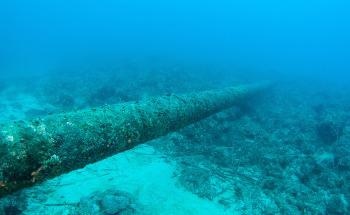 Introducing an Underwater 3D Printer for Seabed-Level Repairs