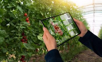 Machine Vision in Smart Agriculture