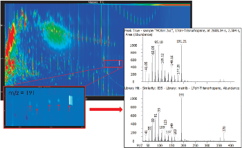Investigating Food Contamination by Oil Hydrocarbons via Gas Chromatography
