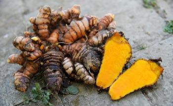 Creating Biobased Replacements for Toxic Precursors of Plastic Production
