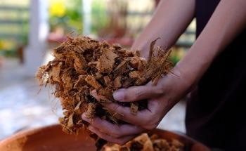 Electrolytes for Lithium Batteries Obtained from Biomass