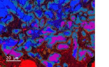 Improving Sample Analysis using Cathodoluminescence (CL) and Energy Dispersive Spectroscopy (EDS)
