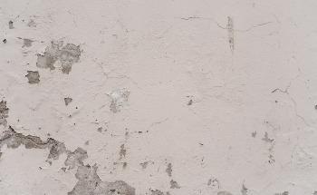 Food-Derived Paint: The Sustainable Future of Color?