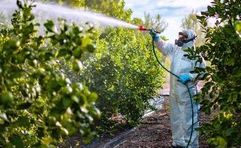 Pesticide Residue Removal: Plackett-Burman Analysis Optimizes Ultrasonic Cleaning