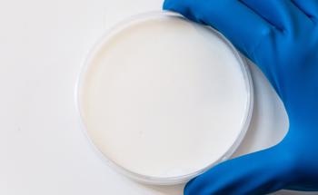 What Does Analysis of Phytosterols Using Microextraction and Chromatography Reveal About Cow Milk