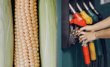 Improving Fermentation of Corn and Ethanol via Near-Infrared Spectroscopy (NIRS)