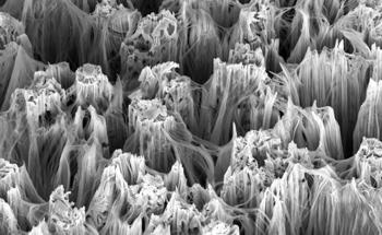 3D Silicon Nanowire Arrays for Light Absorption