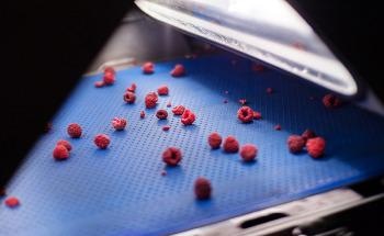 Role of Laser Emitters in Industrial Food Sorting