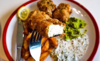 Seafood from the Lab: The Future of Fish Consumption?