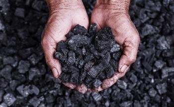How do Blocks of Carbonized Compressed Powder Purify Water?