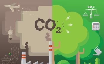 Sustainable Implications of Biocarbons