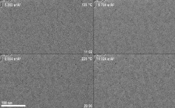 Low-Dose Imaging via Real-Time Electron Counting