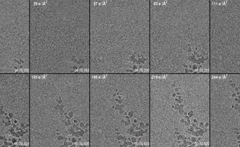 Studying Beam-Induced Dendritic Growth over Different Timescales