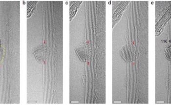 Atomic-Scale Observation of Oxygen Delivery in Carbon Nanotubes