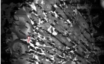 Cathodoluminescence Polarization-Filtered Spectrum Imaging