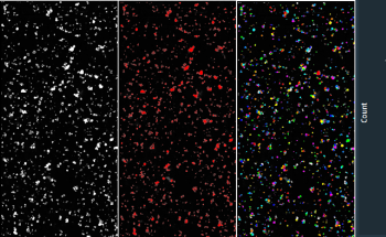 Achieve Higher Performance with your Microscope with Minimal Effort Using Automated Alignments