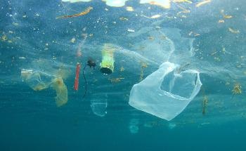 Self-Cleaning, Dirt-Repellent and Degradable Bioplastics