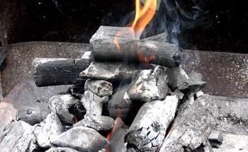 Analyzing Volatile Matter in Coal and Biofuels