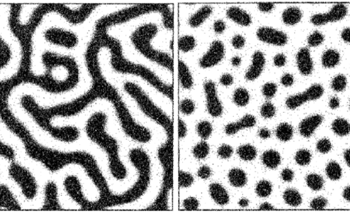 Examining the Crystallization and Phase Separation of Glass