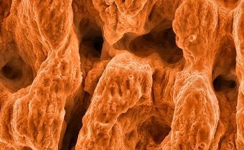 How to Assemble an Atomic Force Microscope
