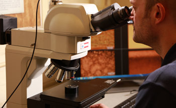 The Role of Fatigue Testing in the Development of Low Carbon Transport Solutions