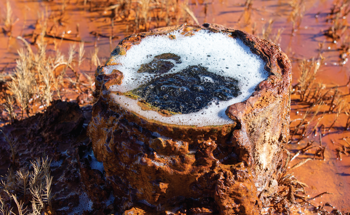 Tracking Methane Leaks from Abandoned Gas Wells