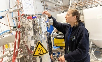 Brewing Eco-Friendly Biosurfactants with Holiferm