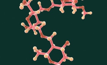 Taking a Close Look at Antiviral Polymers