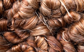 What Are The Many Uses of Jute Fibers?