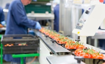 X-Ray Technology Solutions and How to Approach the Problem of Foreign Matter in Manufactured Food Products