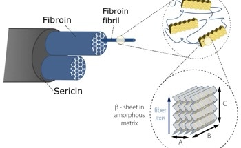 How to Measure Extremely Thin Single Protein Fibers