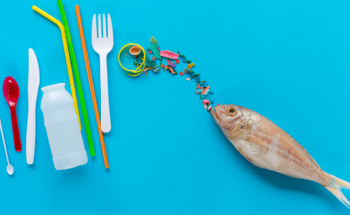 Monitoring Microplastics in the Ocean with Raman Spectroscopy