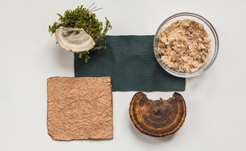 A to Z of Sustainable Textiles