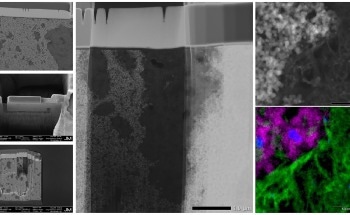 The Link Between FIB-SEM and TEM