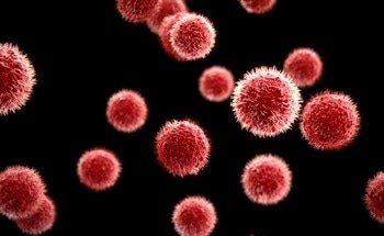 How are Bacteria Used in Materials Development?