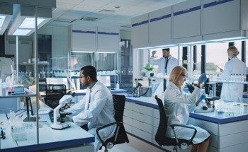 What are Polyoxometalate Soft Matter Composites?