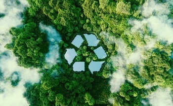 Sustainable Materials for Industry and Manufacturing