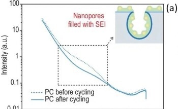 How to Improve the Performance of Sodium-ion Batteries Using Various Carbon Anodes Designs