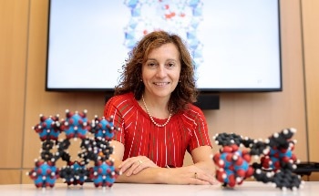 Women in STEM: In Conversation with Professor Laura Gagliardi