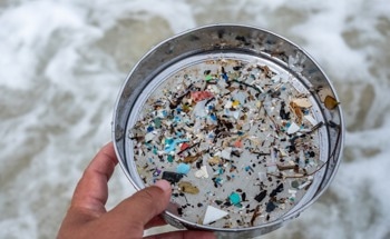 Wastewater Treatment to Reduce Microplastic-Associated Antimicrobial Resistance