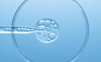 What Raw Materials are Used in Cosmetics?