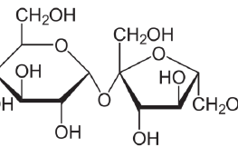 Analyzing the Particle Size and Distribution of Monosaccharide Molecules