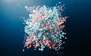 The Importance of Particle Shape Characterization