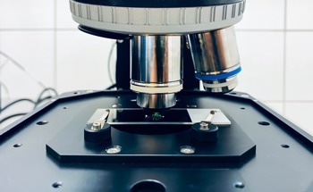 Raman Spectroscopy for Glass and Ceramic Analysis